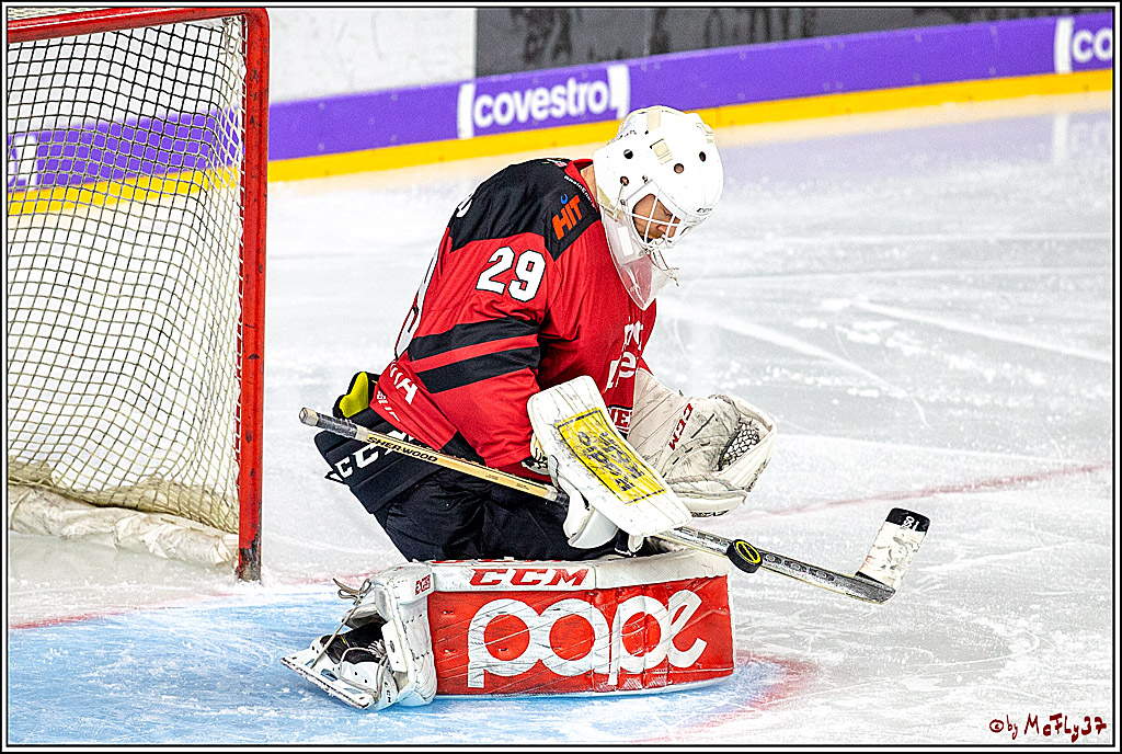 DEL; Koelner Haie - Iserlohn Roosters, 04.01.2019